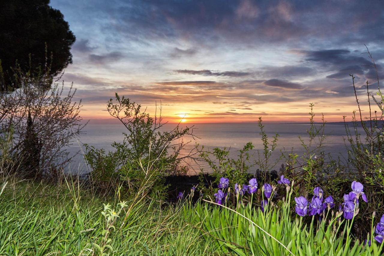 Best Vasto Esterno foto